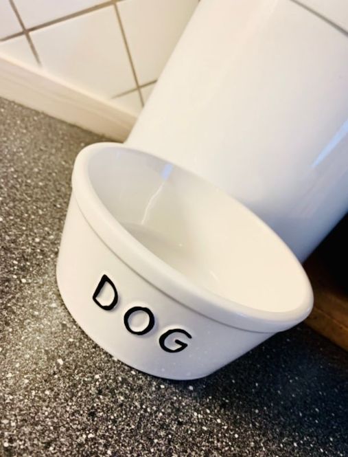 Hovedbilde Matskålen Store Hund