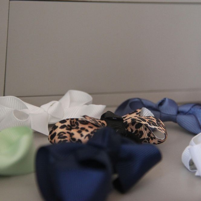 Hovedbilde Hårsløyfer 