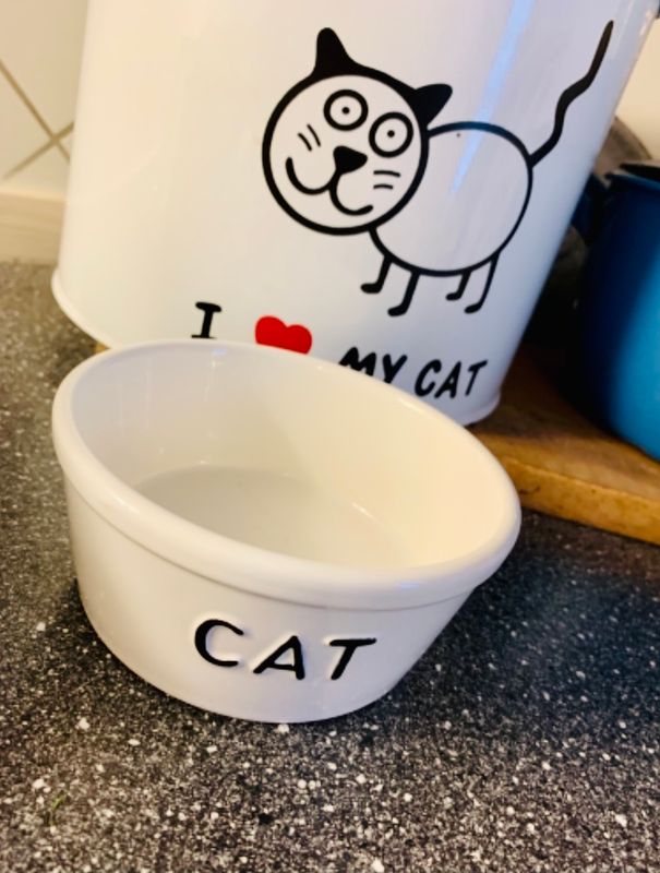 Matskål Katten